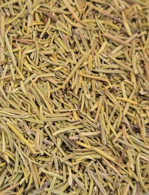 Rosemary (Rosmarinus officinalis)