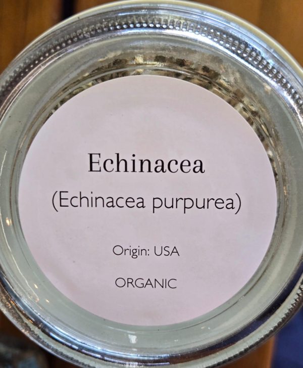 Echinacea (Echinacea Purpurea) - Image 2