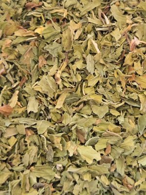 Spearmint Leaf (Mentha spicata)