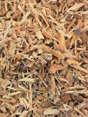 White Willow Bark (Salix alba)