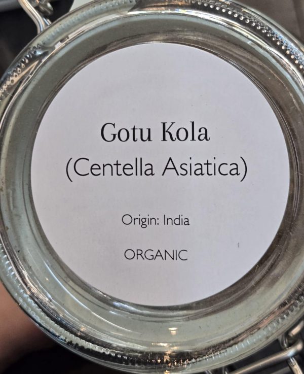 Gotu Kola (Centella Asiatica) - Image 2