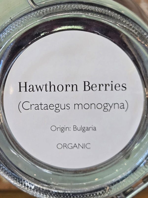 Hawthorn Berries (Crataegus monogyna & C. laevigata) - Image 2