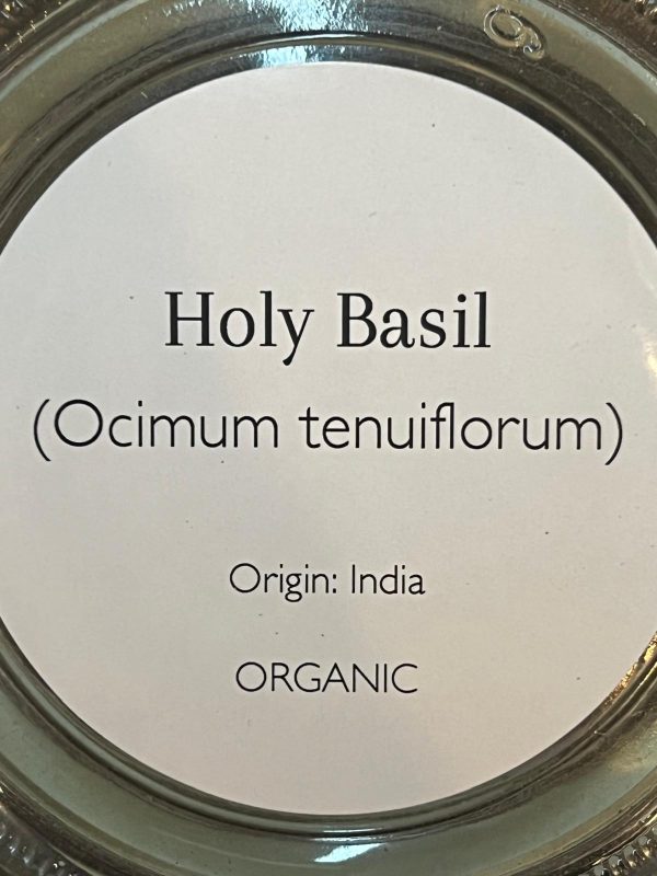 Holy Basil (Ocimum tenuiflorum) - Image 2
