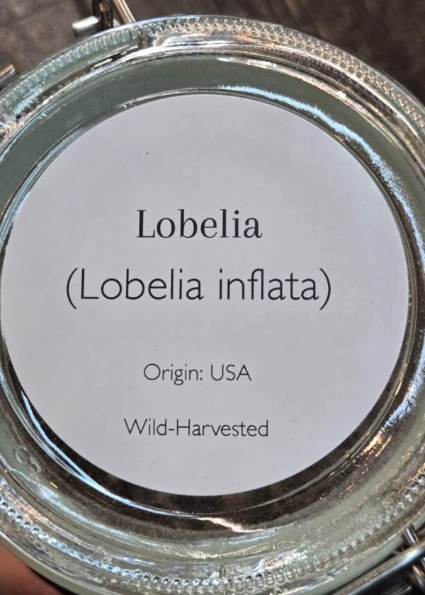 Lobelia (Lobelia Inflata) - Image 2