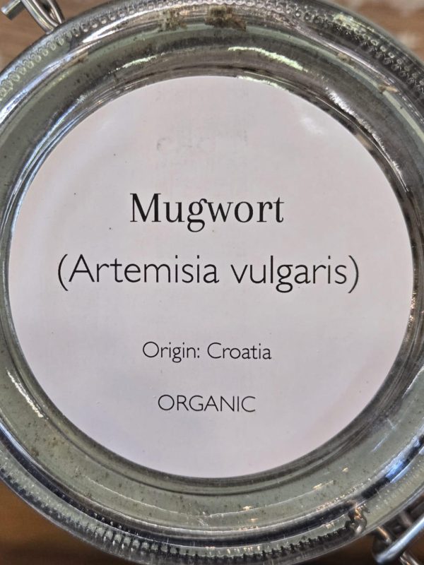 Mugwort (Artemisia Vulgaris) - Image 2
