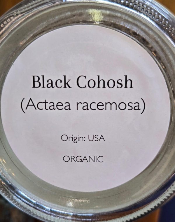 Black Cohosh (Actaea Racemosa) - Image 2
