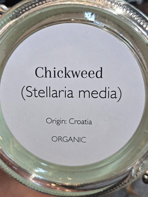 Chickweed (Stellaria Media) - Image 2