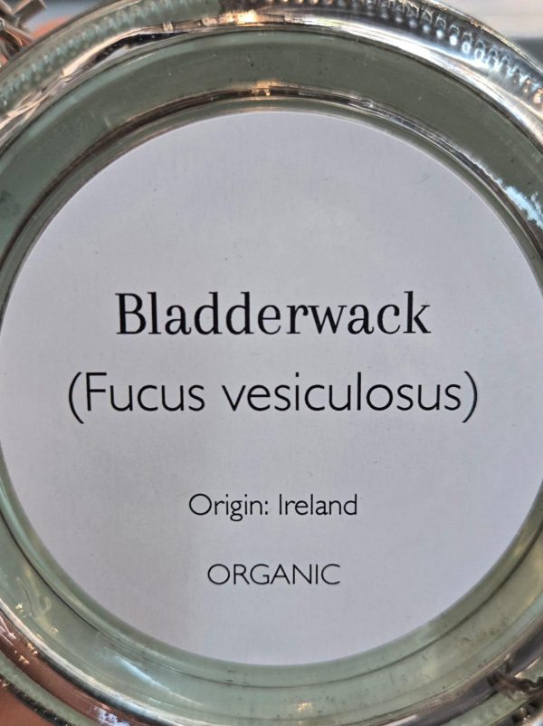 Bladderwack (Fucus Vesiculosus) - Image 2