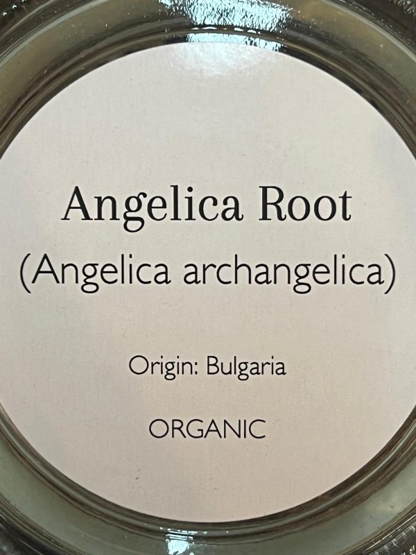 Angelica Root (Angelica archangelica) - Image 2