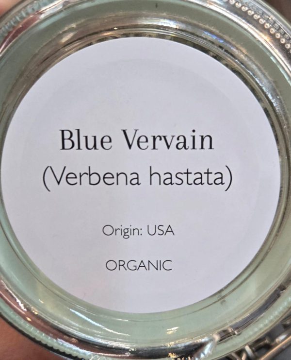 Blue Vervain (Verbena hastata) - Image 2