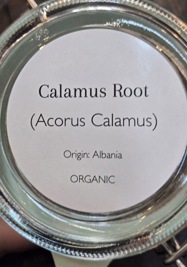 Calamus Root (Acorus Calamus) - Image 2