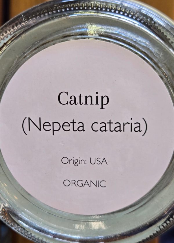 Catnip (Nepeta cataria) - Image 2