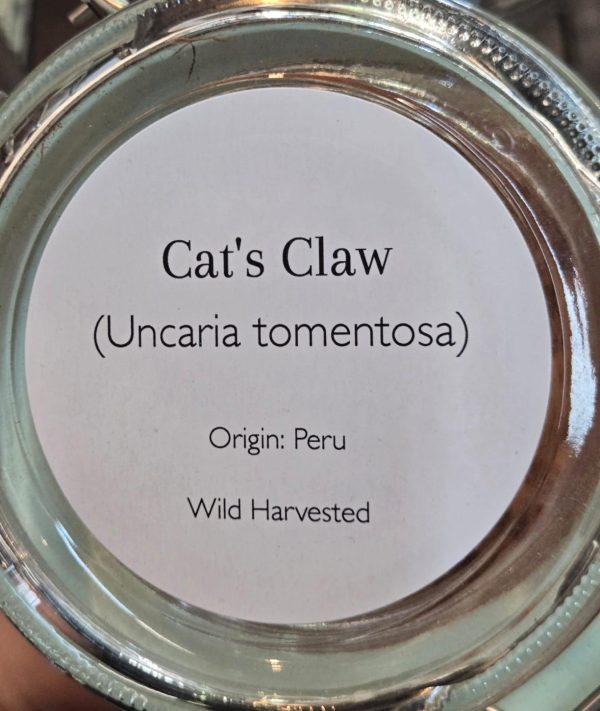 Cat’s Claw (Uncaria tomentosa) - Image 2