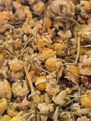 Chamomile Flowers (Matricaria chamomilla)