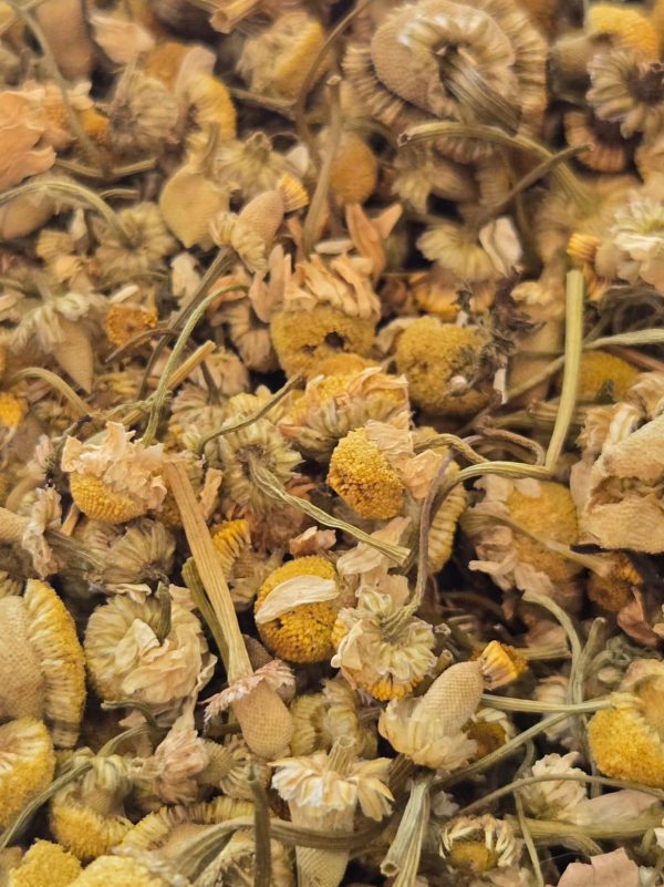 Chamomile Flowers (Matricaria chamomilla)