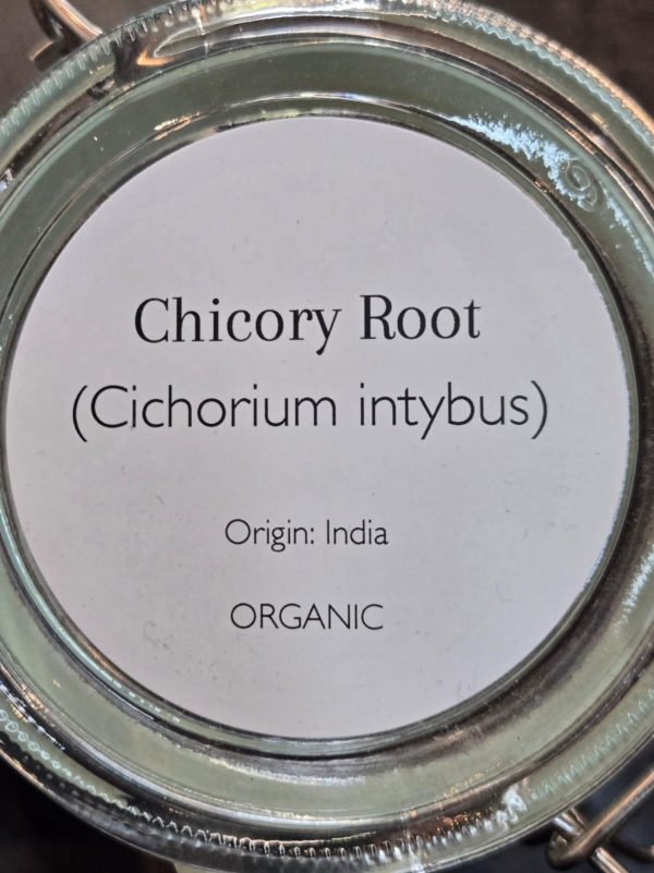 Chicory Root (Cichorium intybus) - Image 2