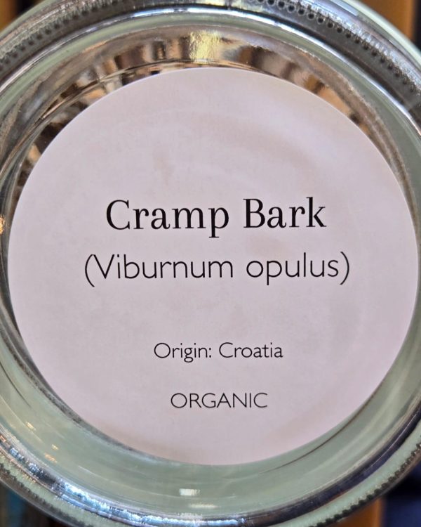 Cramp Bark (Viburnum opulus) - Image 2