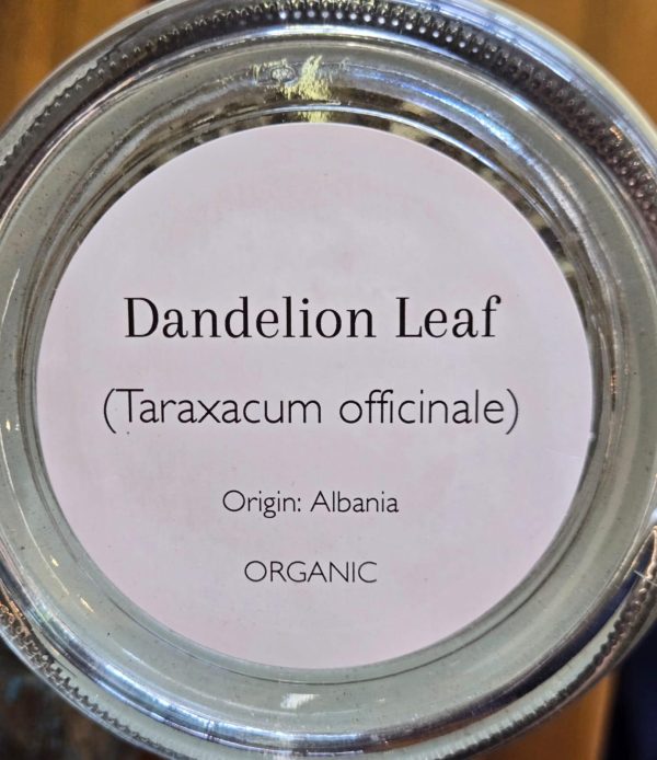Dandelion Leaf (Taraxacum officinale) - Image 2