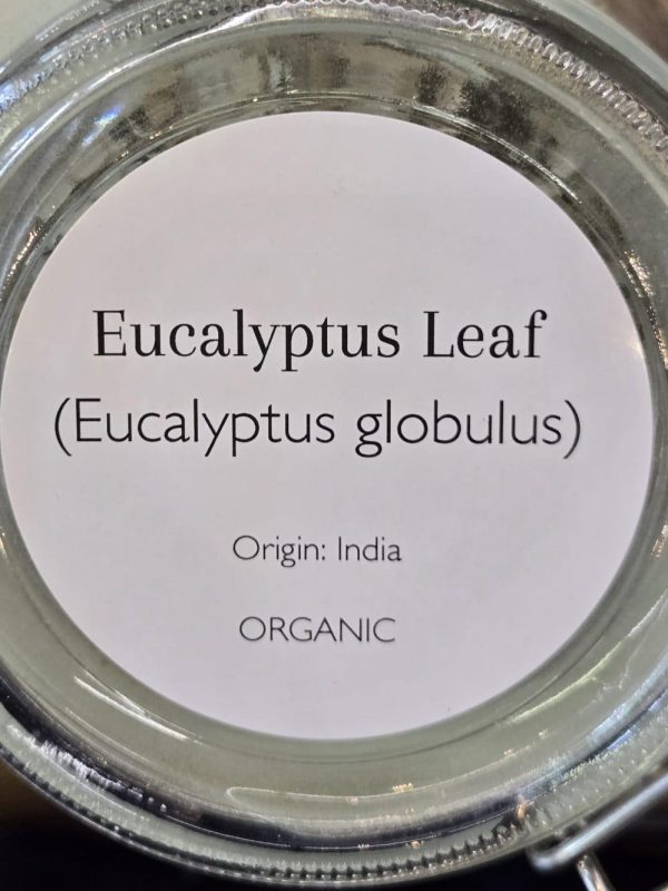 Eucalyptus Leaf (Eucalyptus globulus) - Image 2