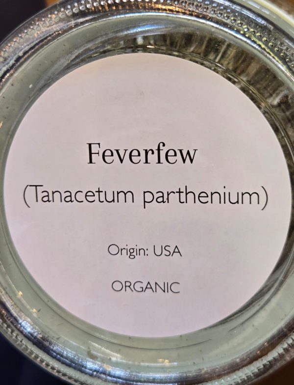 Feverfew (Tanacetum parthenium) - Image 2