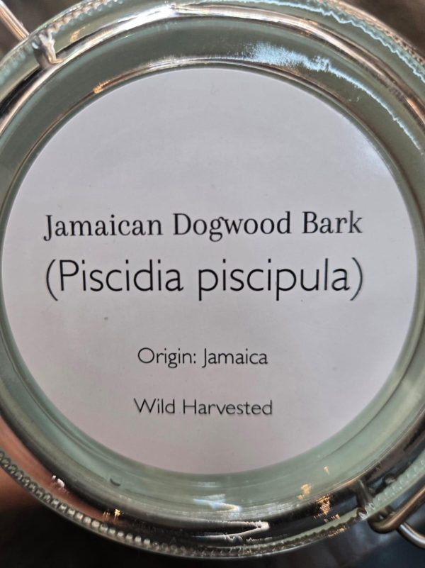 Jamaican Dogwood Bark (Piscidia piscipula) - Image 2