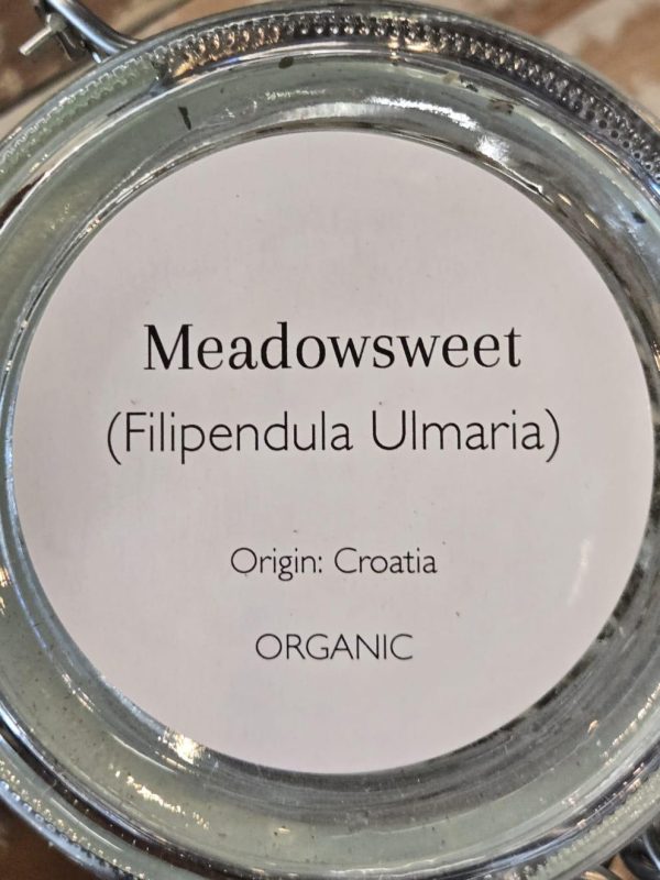 Meadowsweet (Filipendula ulmaria) - Image 2