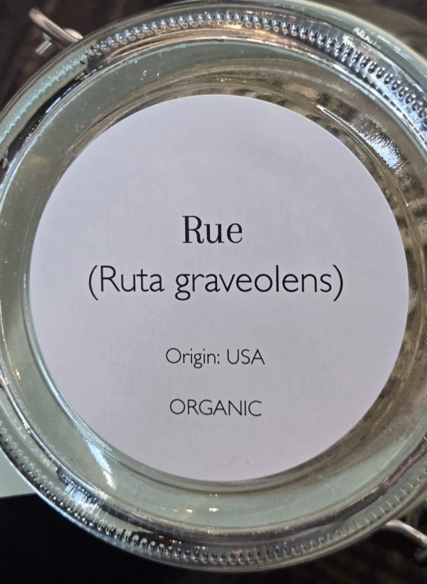 Rue (Ruta graveolens) - Image 2