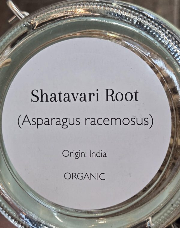 Shatavari Root (Asparagus racemosus) - Image 2