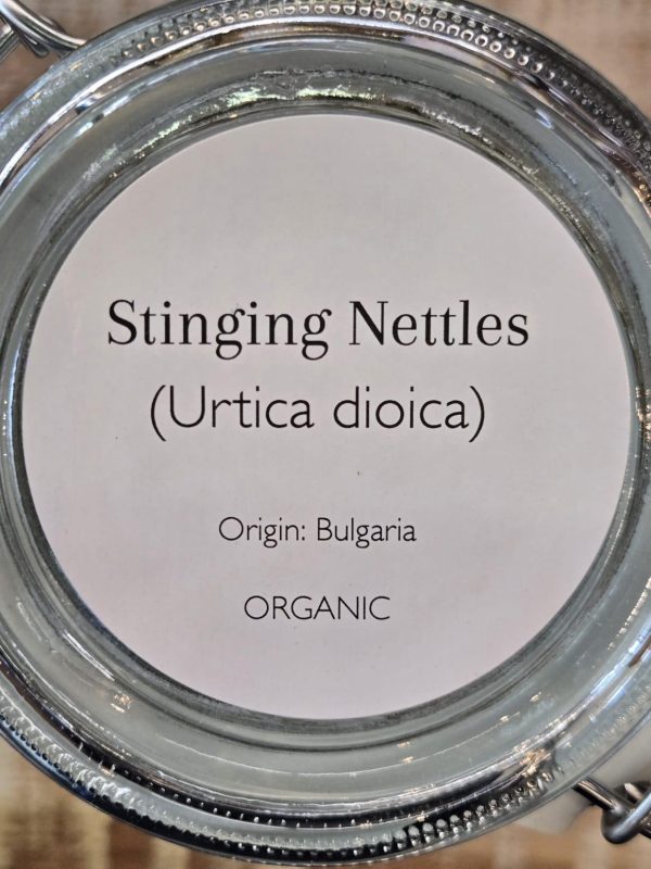 Stinging Nettles (Urtica dioica) - Image 2