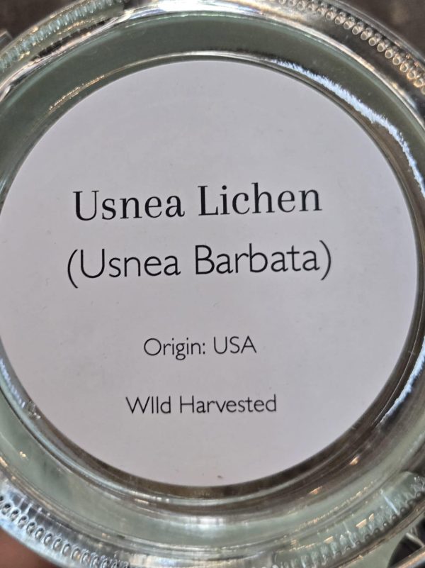 Usnea Lichen (Usnea barbata) - Image 2