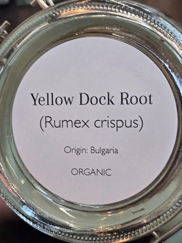 Yellow Dock Root (Rumex crispus) - Image 2