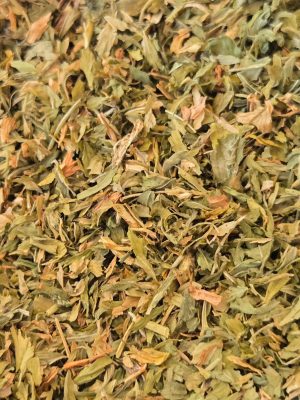 Alfalfa Leaf (Medicago sativa)