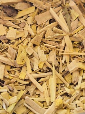 Barberry Root (Berberis vulgaris)