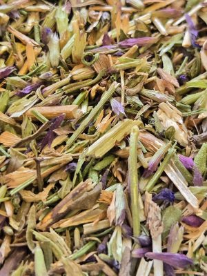 Hyssop (Hyssopus officinalis)