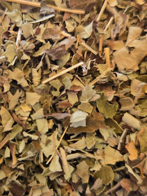 Marjoram (Origanum majorana)