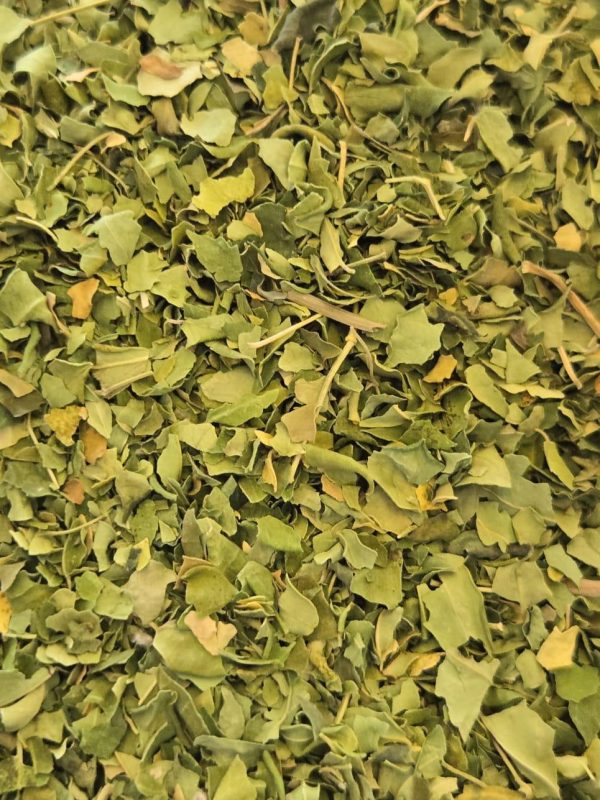 Moringa Leaf (Moringa oleifera)