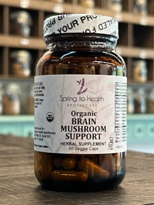 Brain Mushroom Support 0