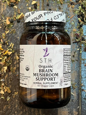 Brain Mushroom Support 1